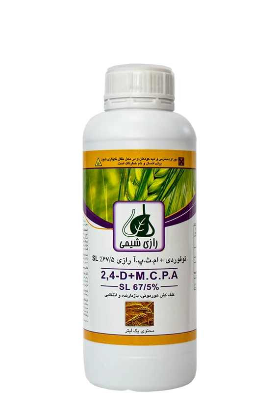 توفوردی + ام ث پ آ   SL 67/5%