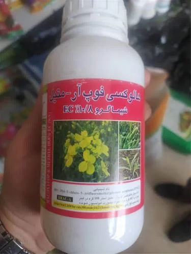 سم علف کش سوپرگالانت شیماگرو(هالوکسی فوپ آرمتیل EC 10/8%) نیم لیتری